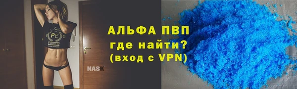 ECSTASY Алзамай