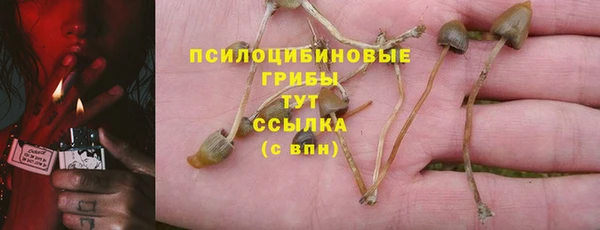 ECSTASY Алзамай