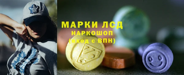 ECSTASY Алзамай