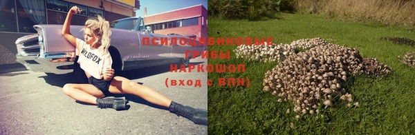 героин Алексин