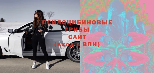 ECSTASY Алзамай