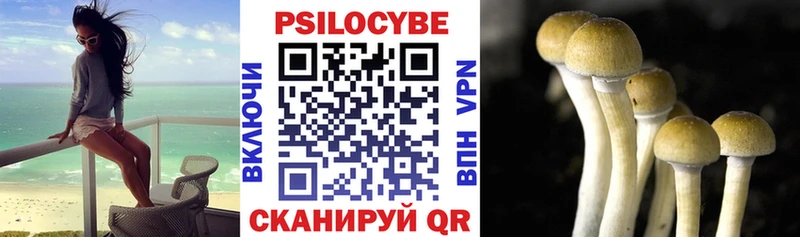 Галлюциногенные грибы ЛСД Гаджиево